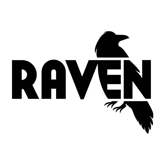 Raven Tools Site Auditor